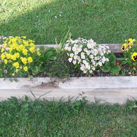 Aux Vieux Fours Bed & Breakfast Noaillac Dış mekan fotoğraf